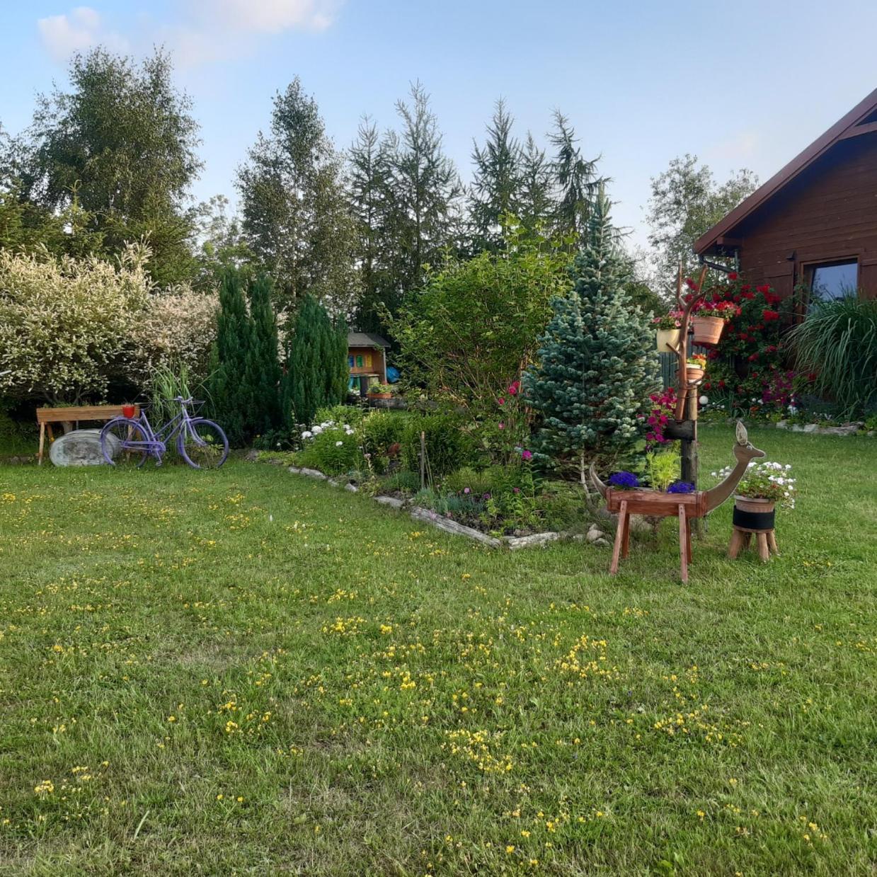 Domek W Kwiatach Zyndaki 外观 照片